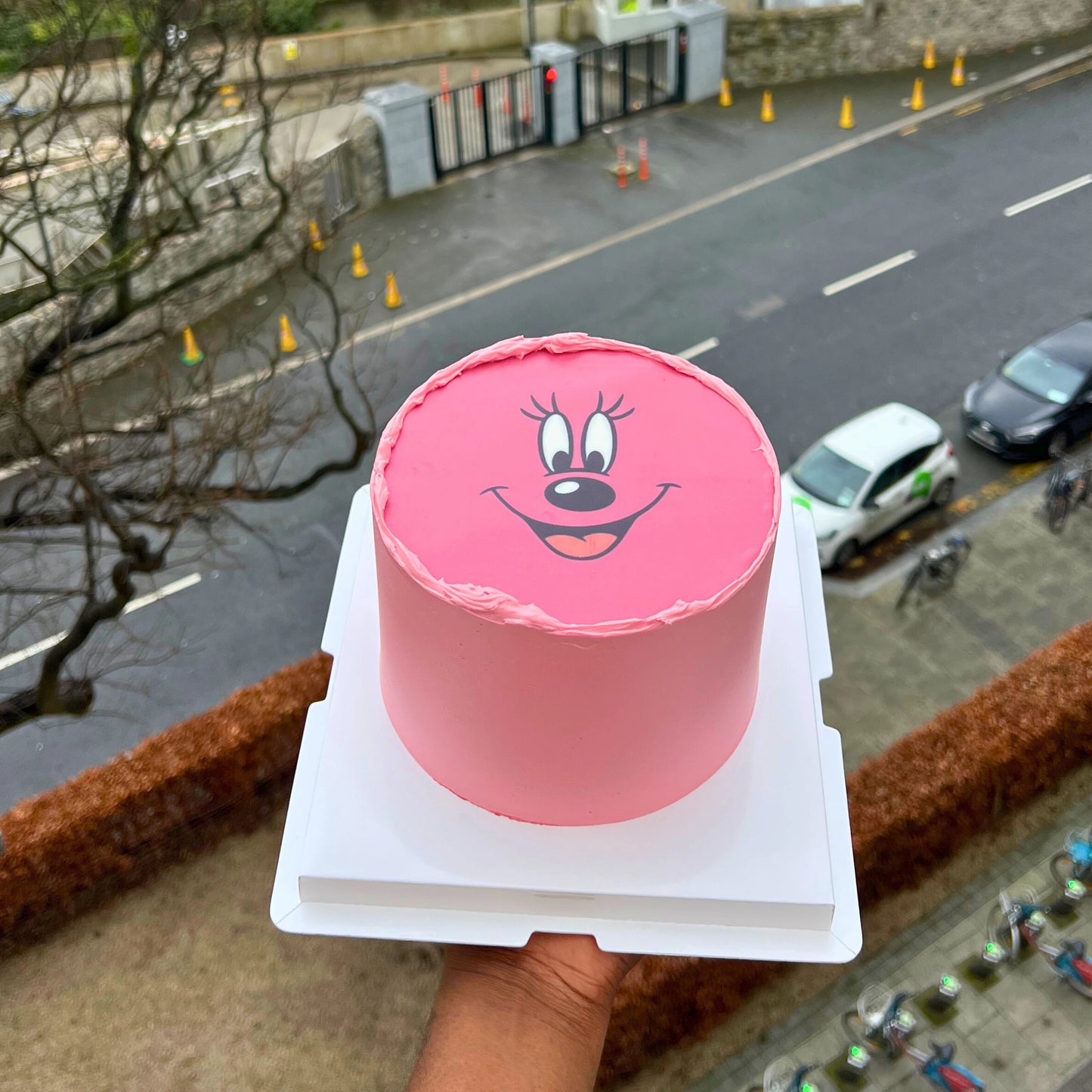 Kids Cartoon Character Cakes | Birthdays Dublin