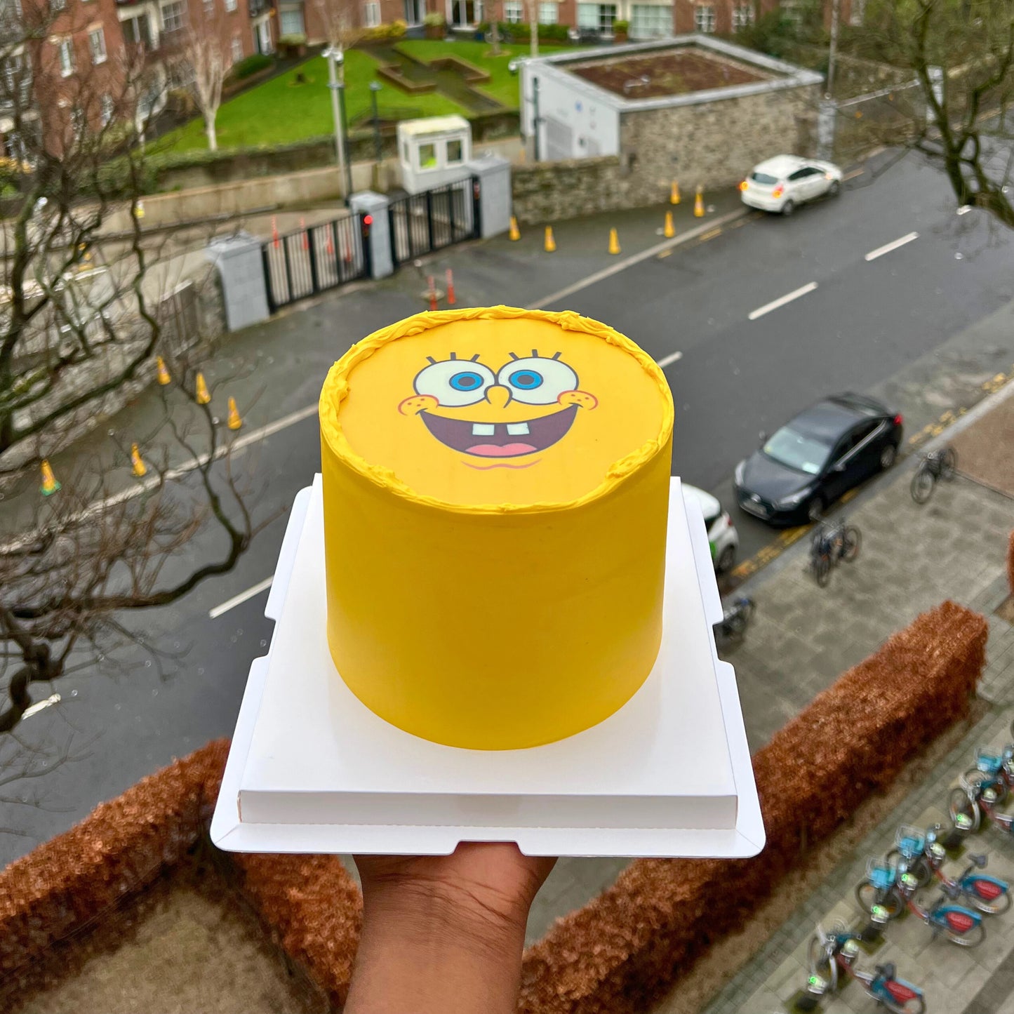 Kids Cartoon Character Cakes | Birthdays Dublin