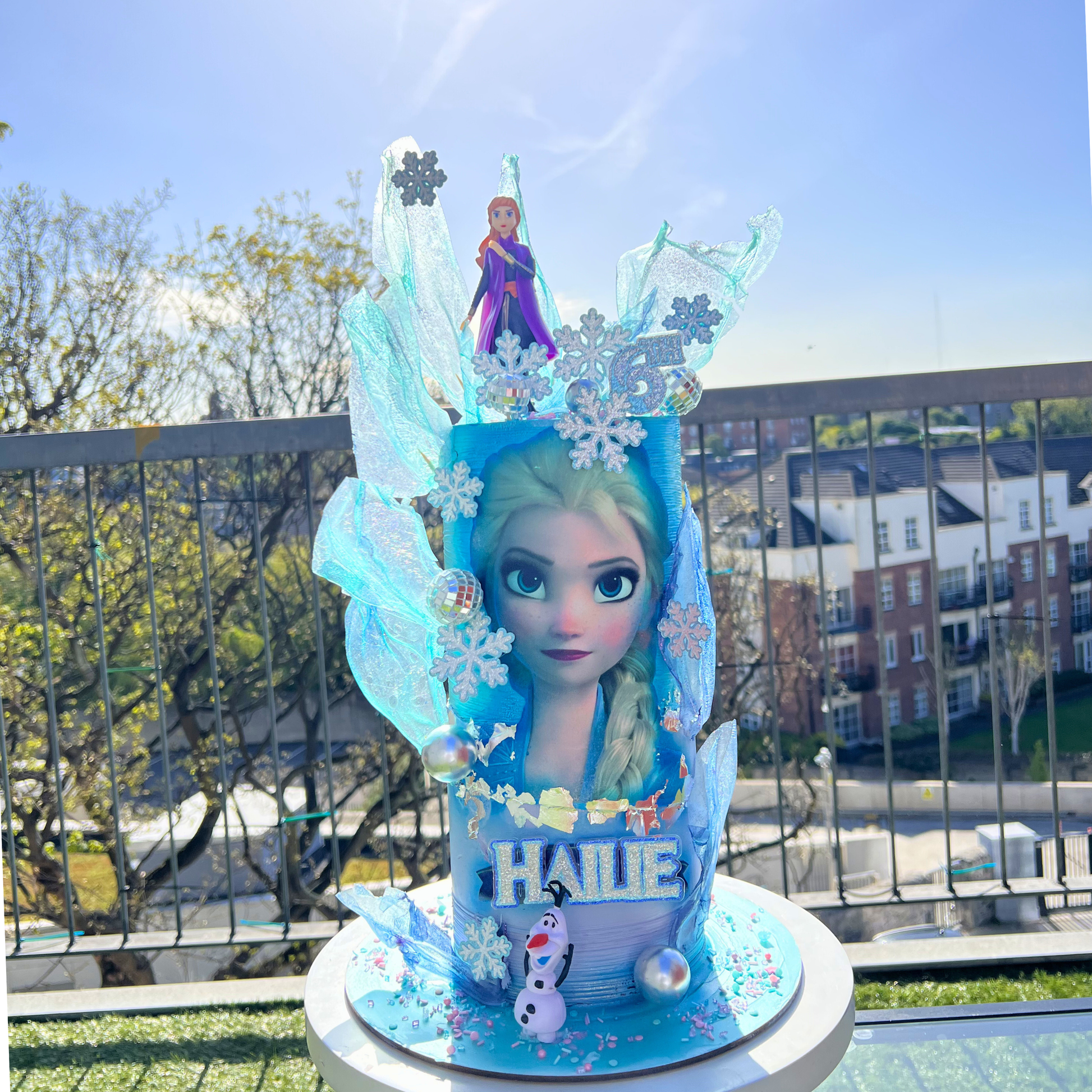 custom 2d frozen cake