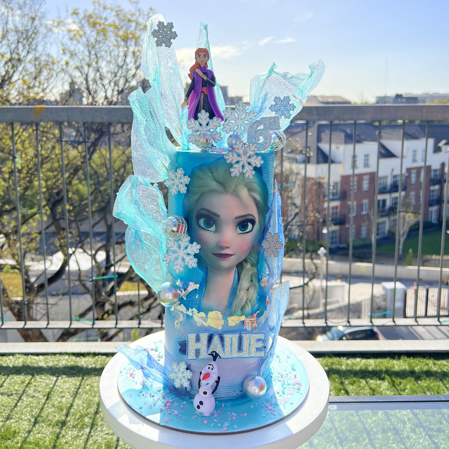 tall 2d frozen cake